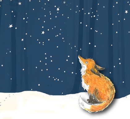 Inka Hagen Fuchs im Schnee fox in the snow Winternacht Fuchs und Sterne